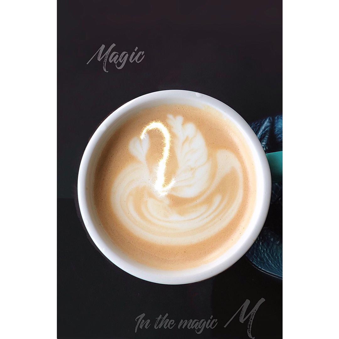 咖啡拉花记录（那些鹅）含视频