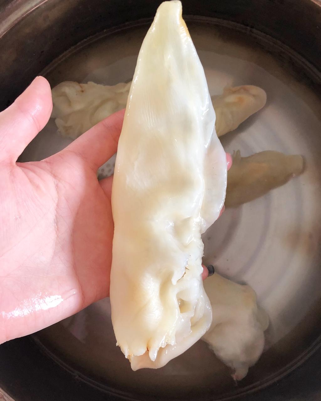 🍲养颜汤💕花胶炖乳鸽