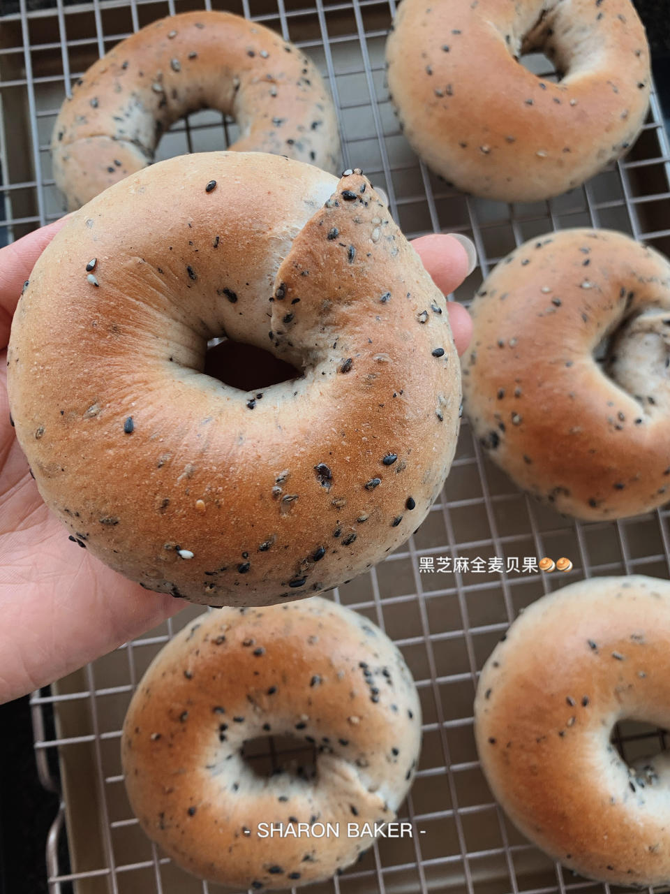 黑芝麻全麦贝果