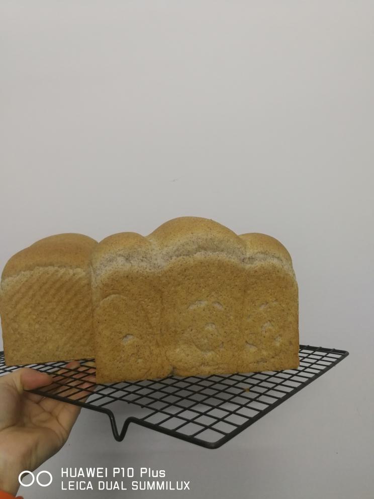 记录高比克T60s黑麦吐司