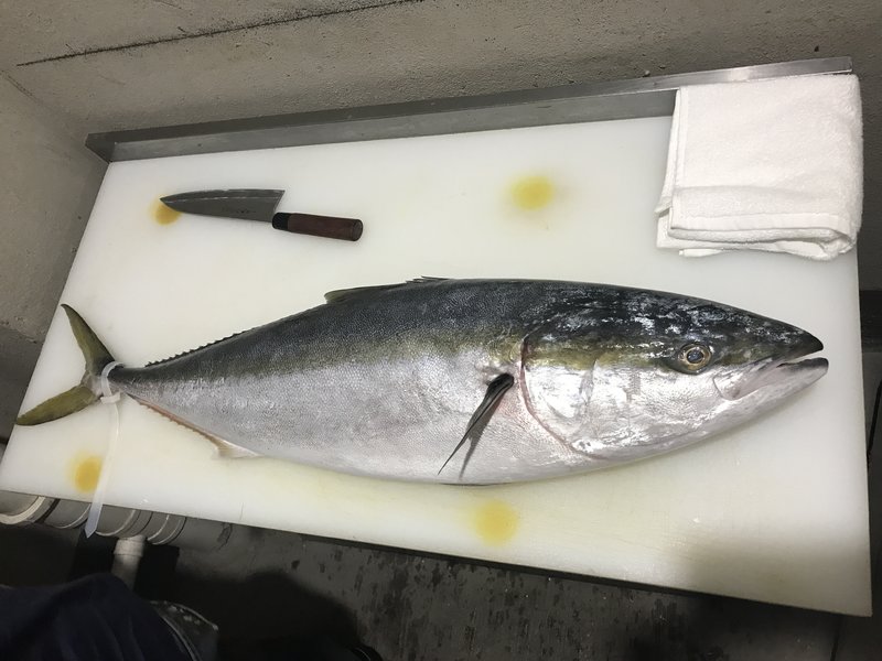 步骤图 鰤鱼 冲击灵魂的顶级食材的做法 鰤鱼 冲击灵魂的顶级食材的做法步骤 孤独的美食家 下厨房 步骤图 鰤鱼 冲击灵魂的顶级食材的做法 鰤鱼 冲击灵魂的顶级食材的做法步骤 孤独的美食家 下厨房
