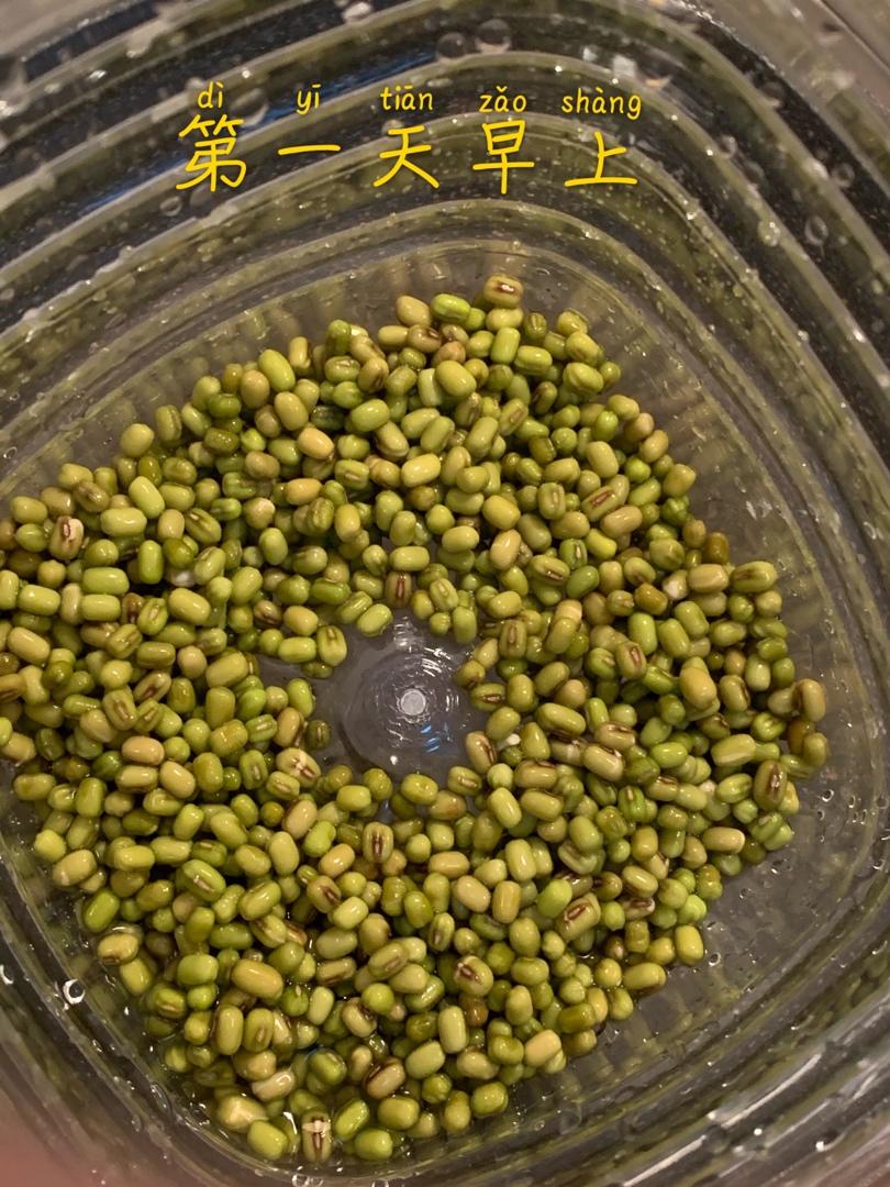 自发豆芽（可乐瓶发豆芽0失败！）