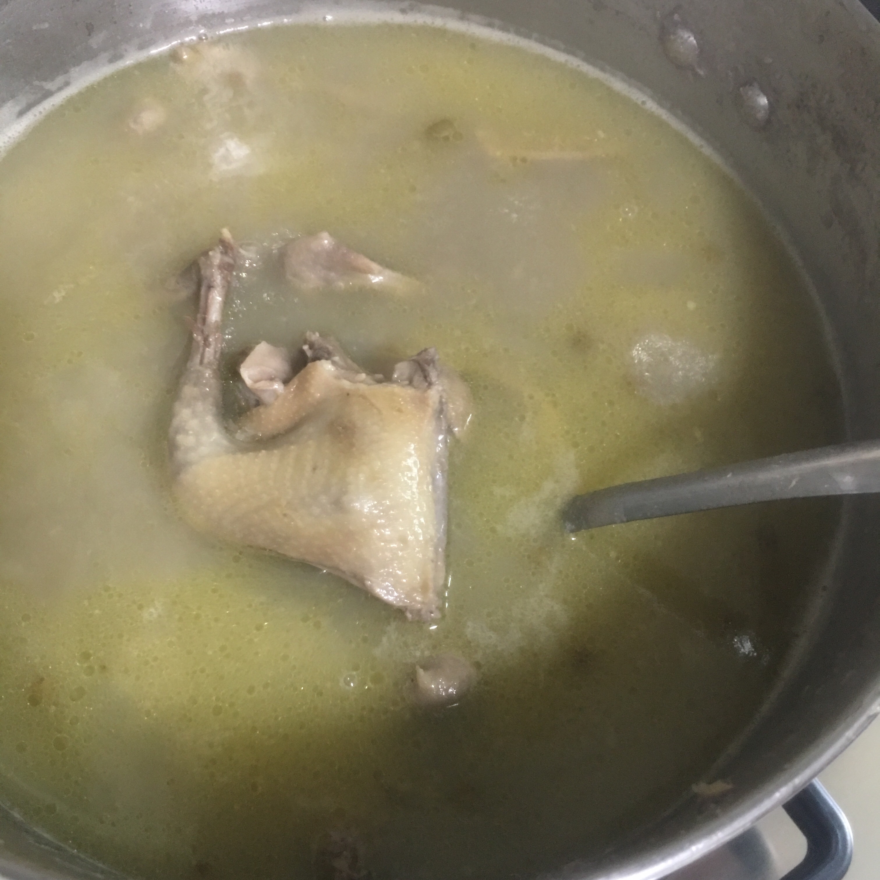 广东汤水之一                              绿豆百合陈皮白鸽汤的做法 步骤3
