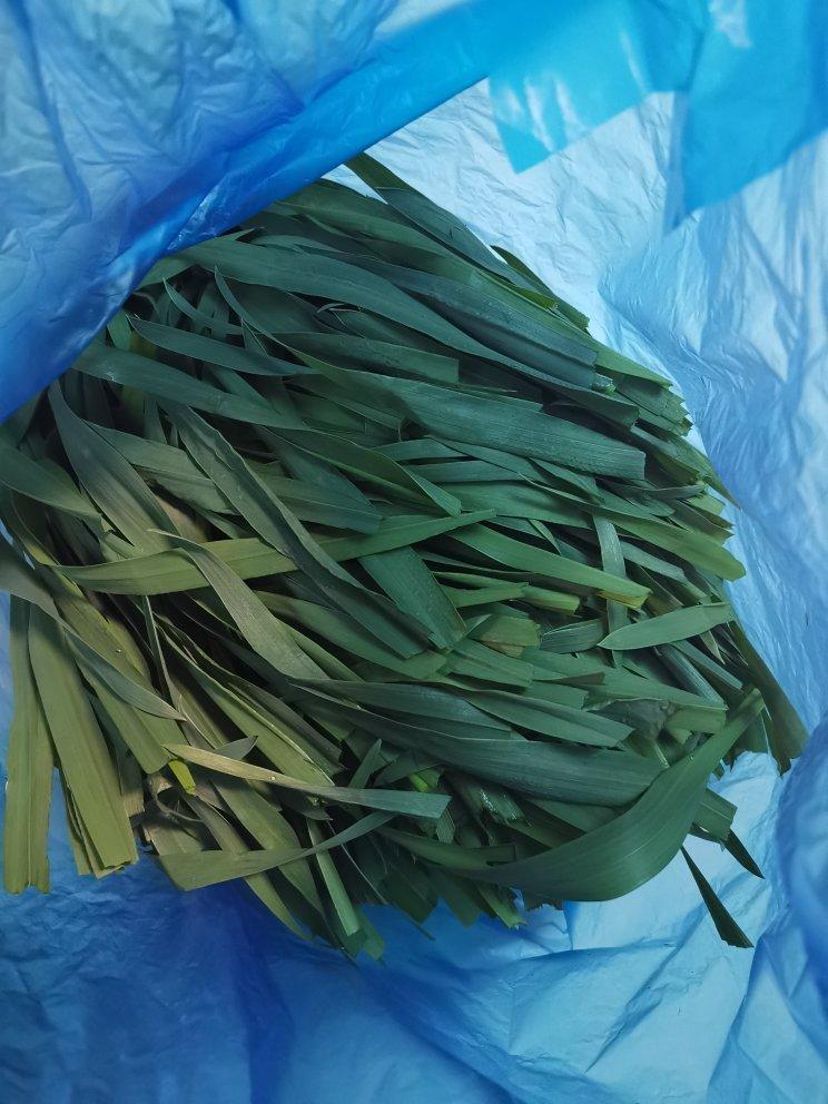 青团～绛麦汁青团～春天的味道～更新麦青汁/绛麦草汁的制作及固色方法