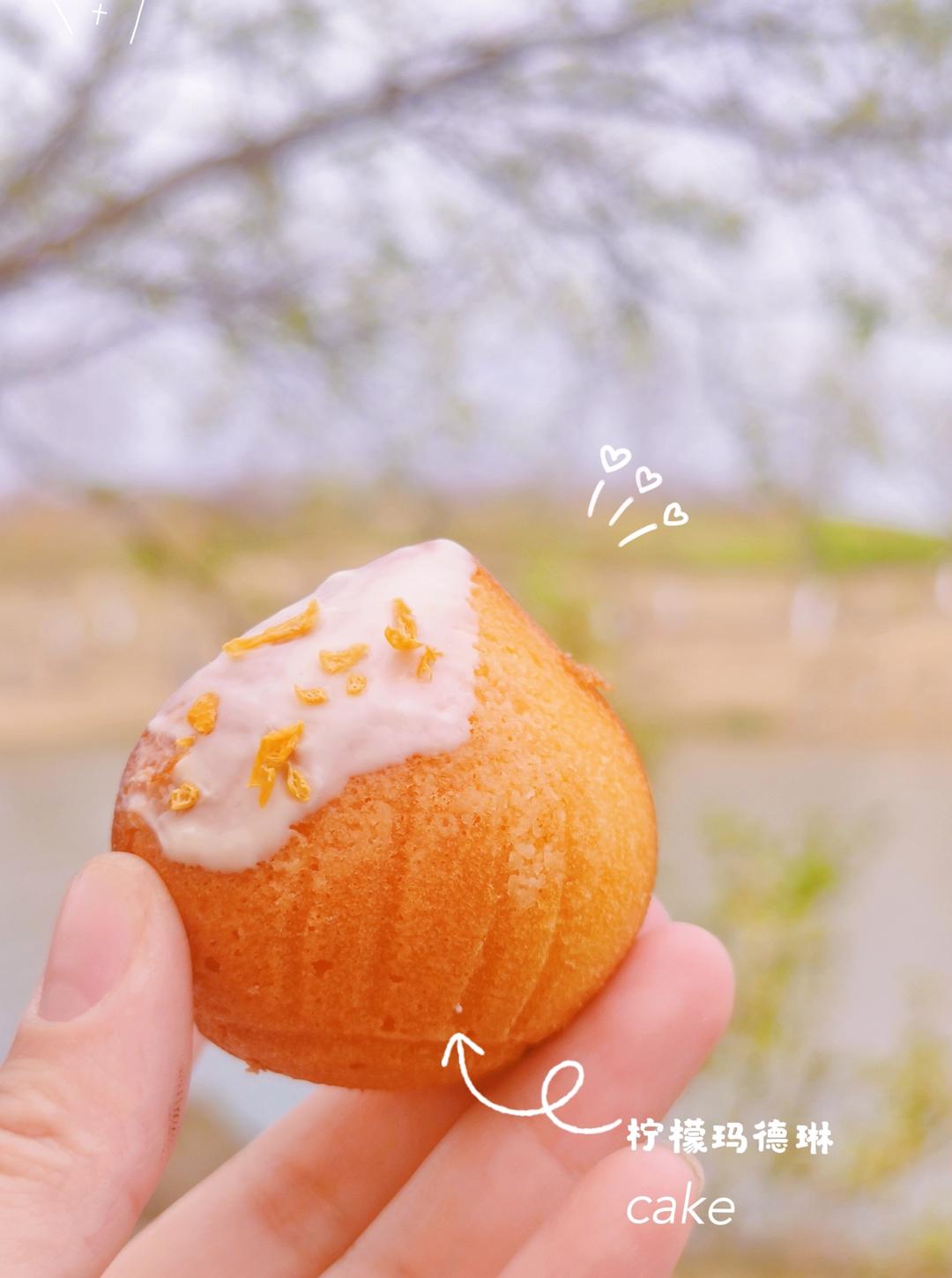 《Tinrry+》柠檬玛德琳