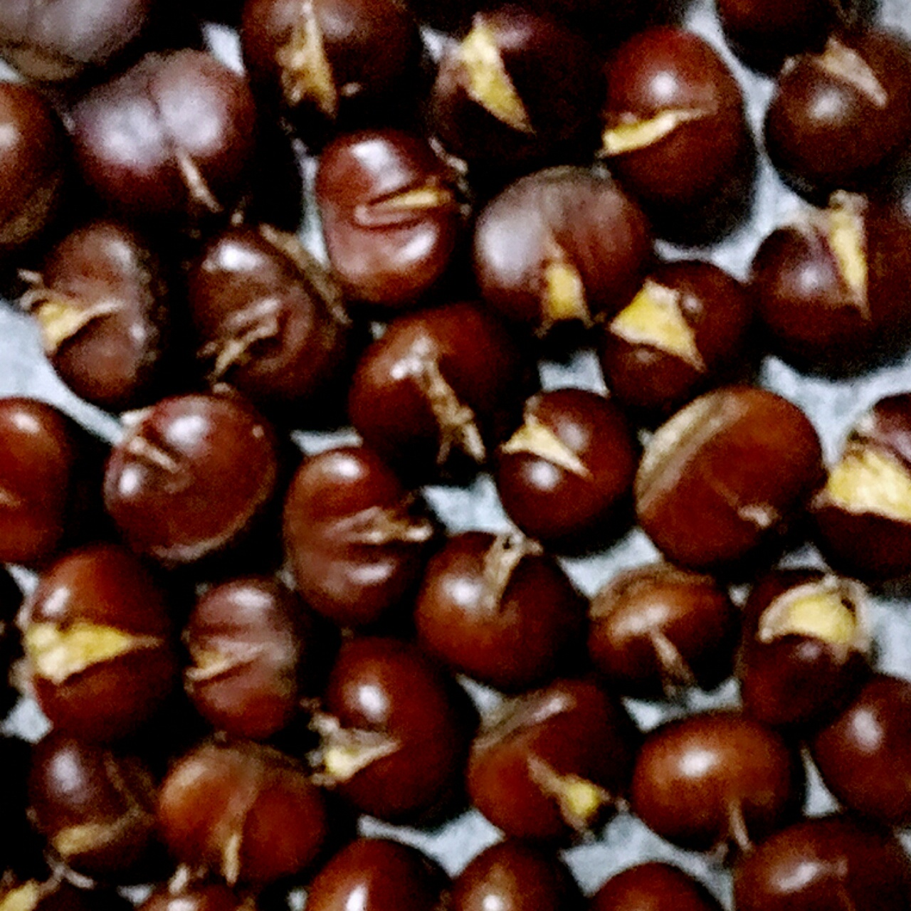 糖烤栗子（烤箱版）