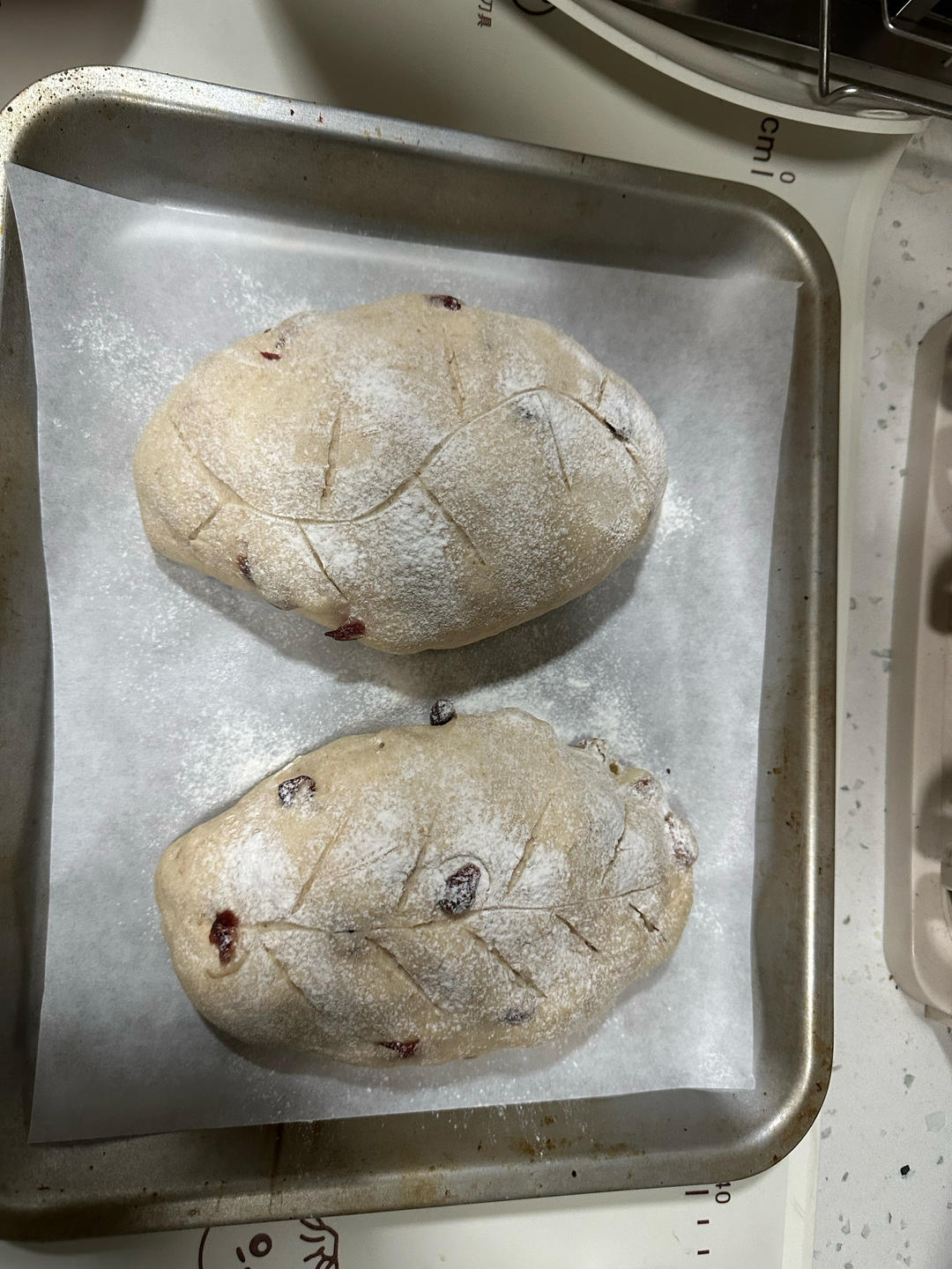 全麦蔓越莓核桃软欧包