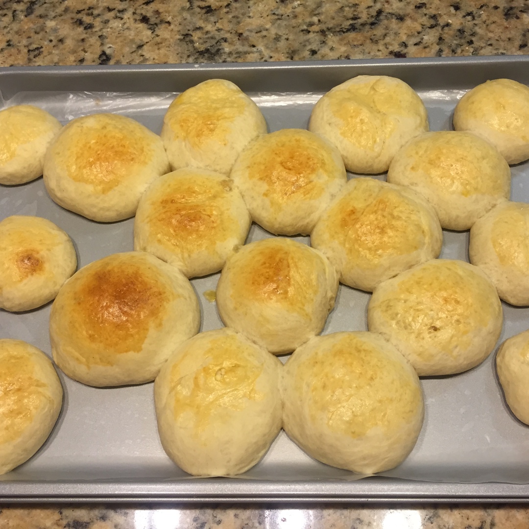 一次发酵——超级无敌懒人快手椰蓉小餐包