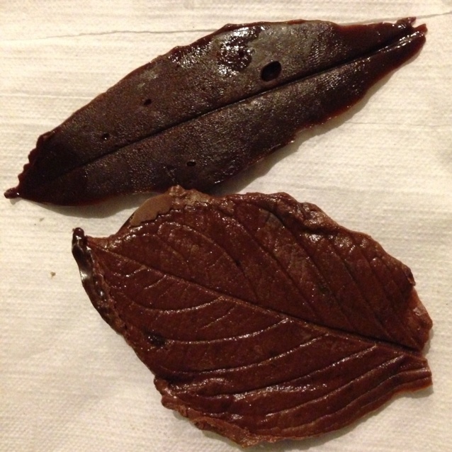巧克力树叶