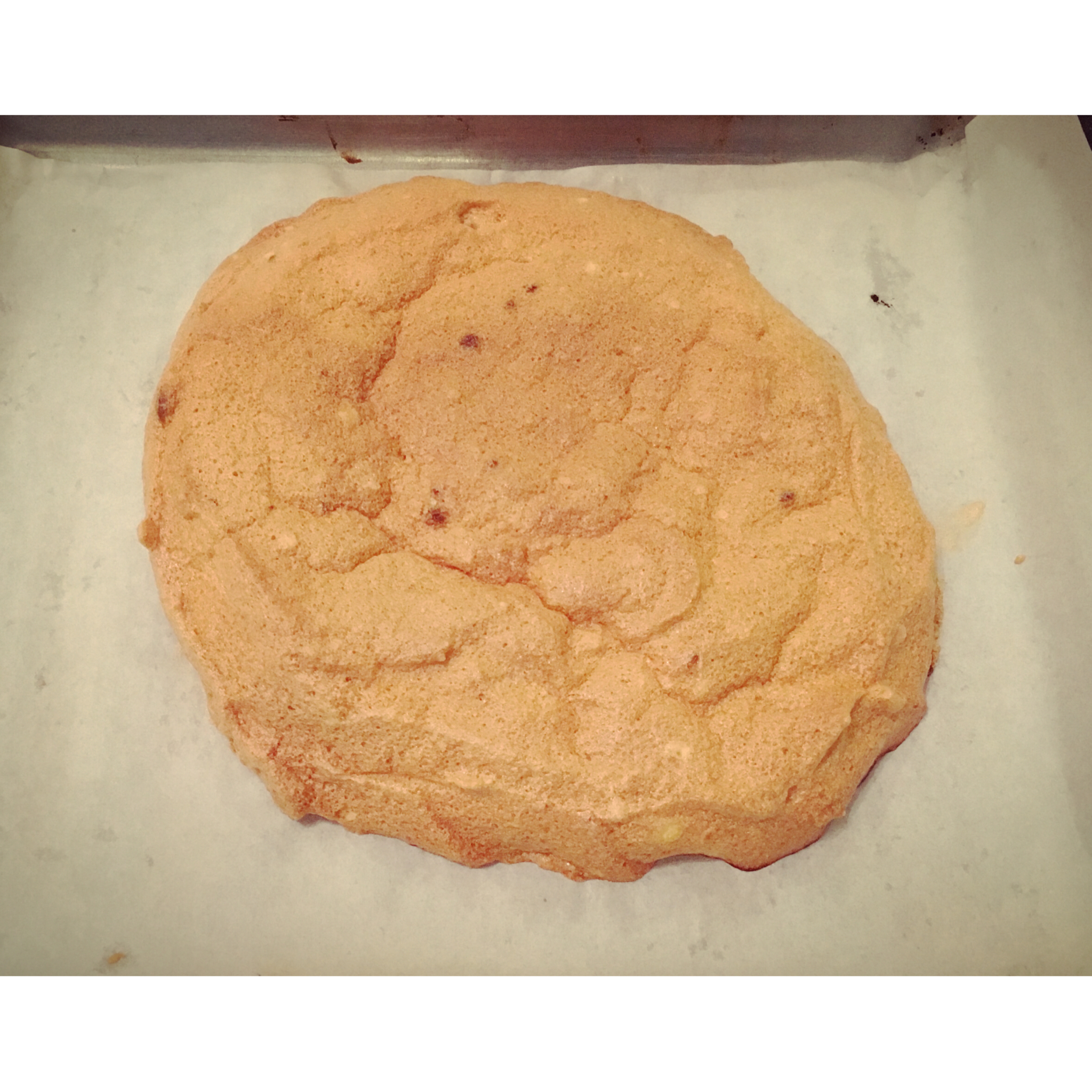 帕夫洛娃蛋白甜饼裸蛋糕 Pavlova