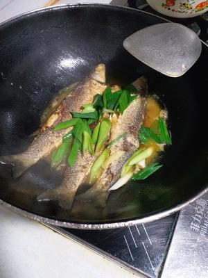 酱油水尖头鱼（鲻鱼）的做法 步骤8