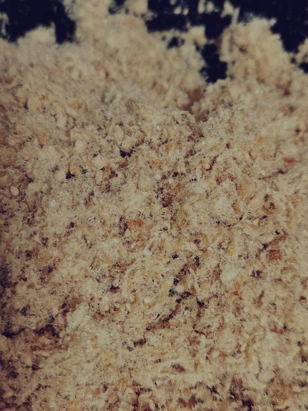 自制肉松全攻略