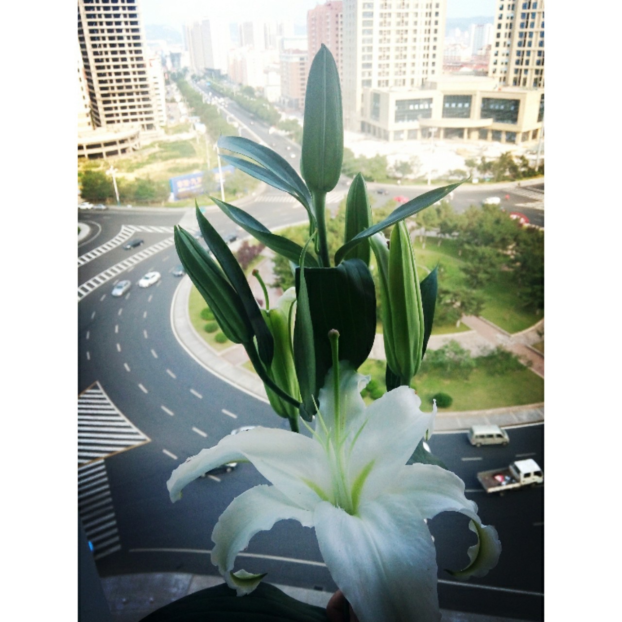 沉淀时光＃