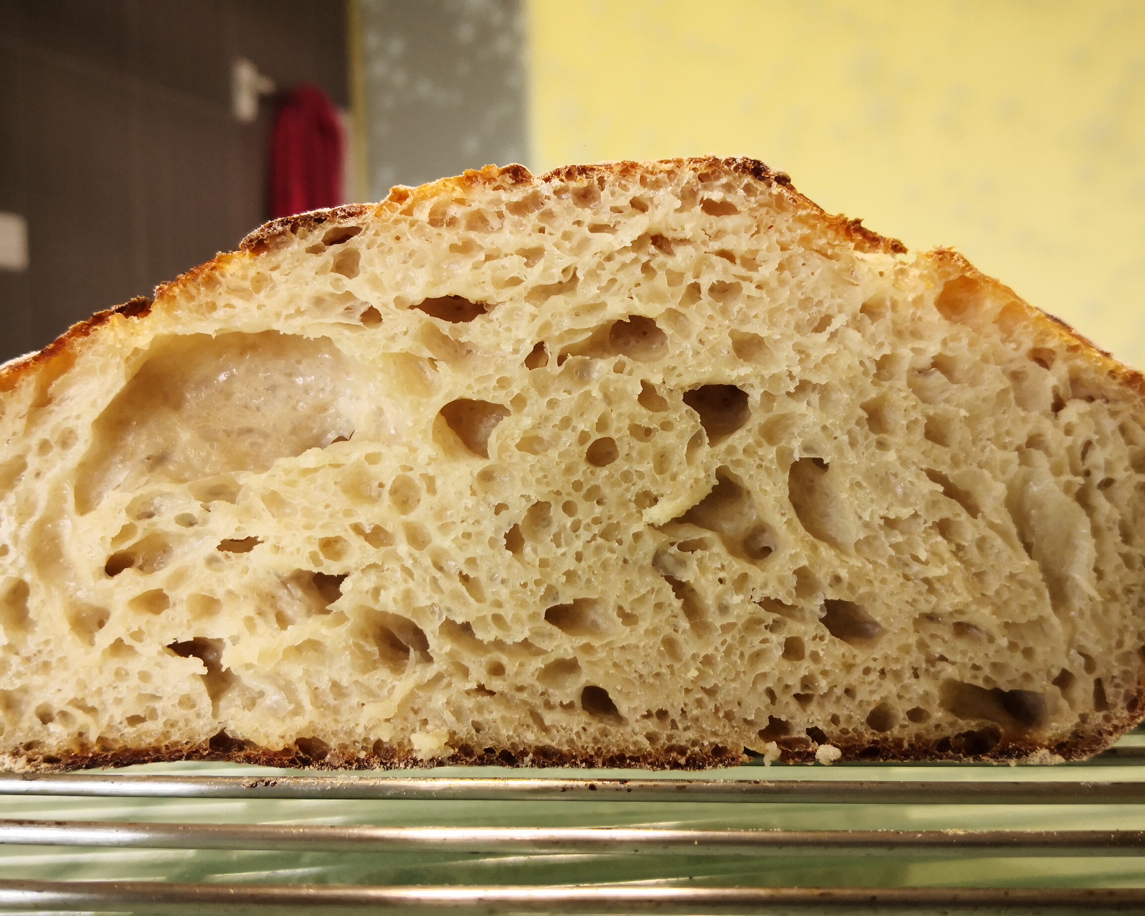 新手鲁邦种酸面包—带折叠步骤（sourdough bread）天然酵母种欧洲面包的做法