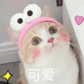 美少女大软妹