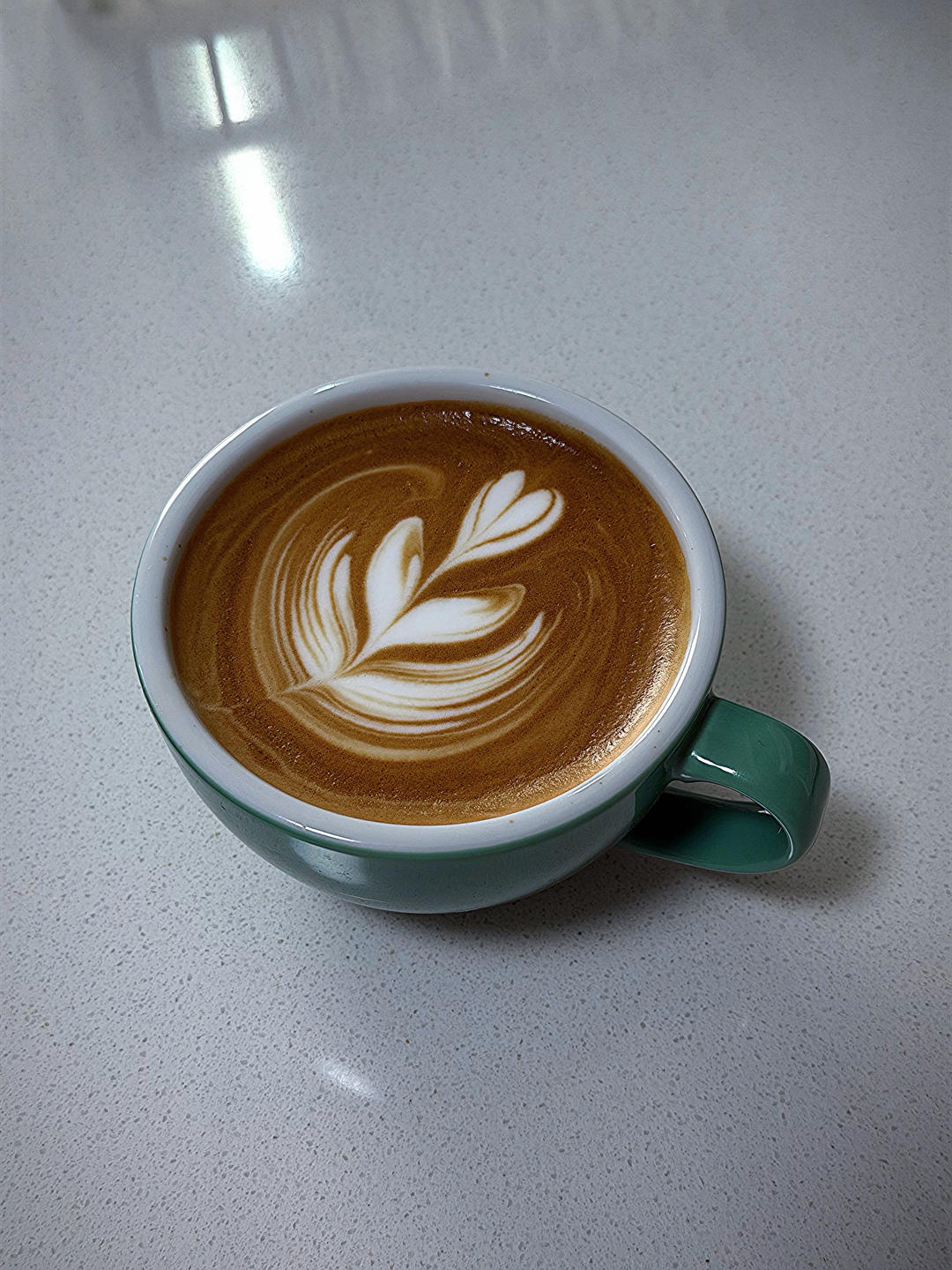 雯雯的咖啡☕️日记