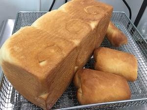 懒人法2次发酵超级柔软面包（牛奶卷）的做法 步骤6