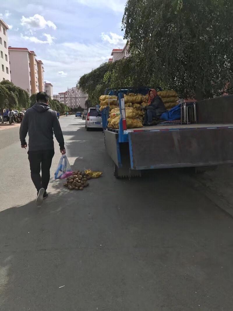 鲜花和美食装扮的生活