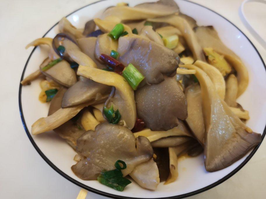 素炒平菇