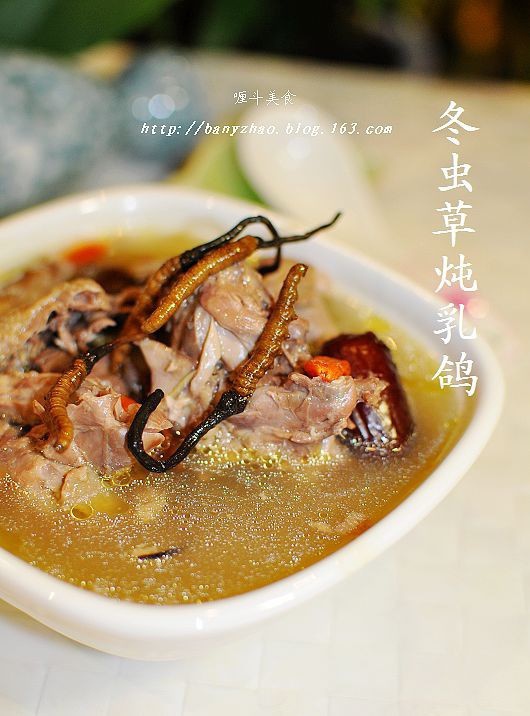 冬虫草炖乳鸽的做法