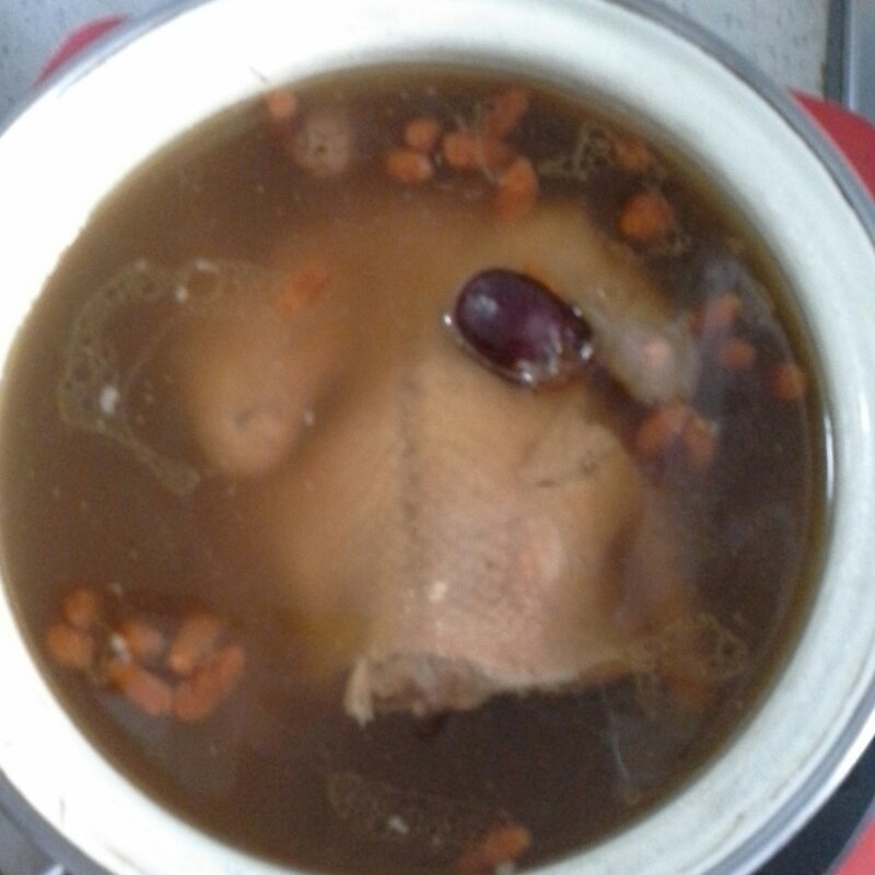 枣杞乳鸽汤