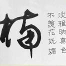 手机用户6060_y98z