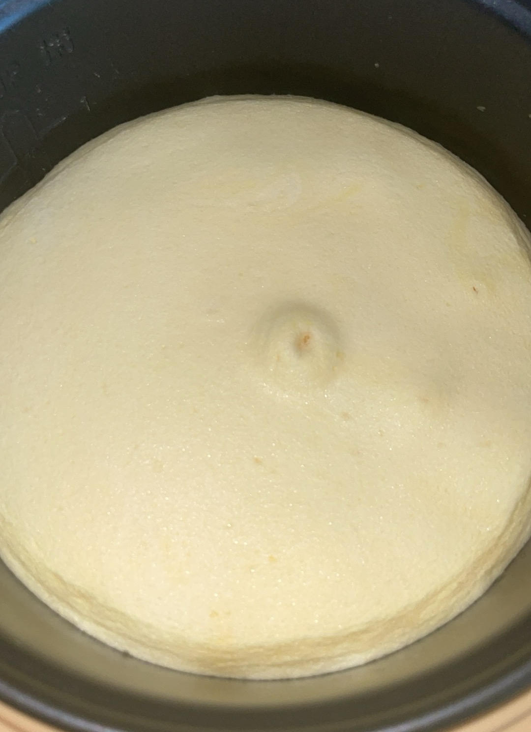简单的电饭锅蛋糕(不用秤版)