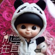 茉茉小姐的小猫猫