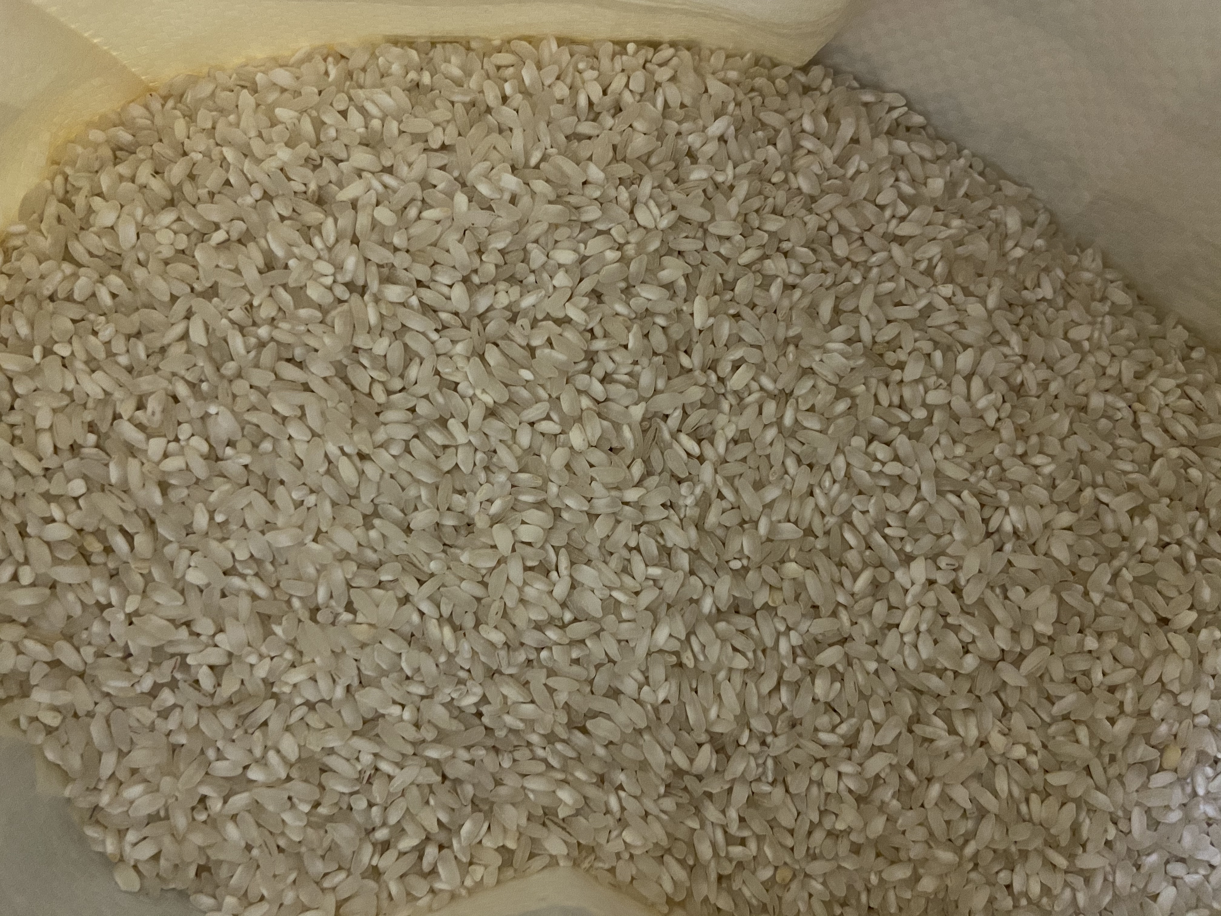 纯米浆手工肠粉的做法 步骤1