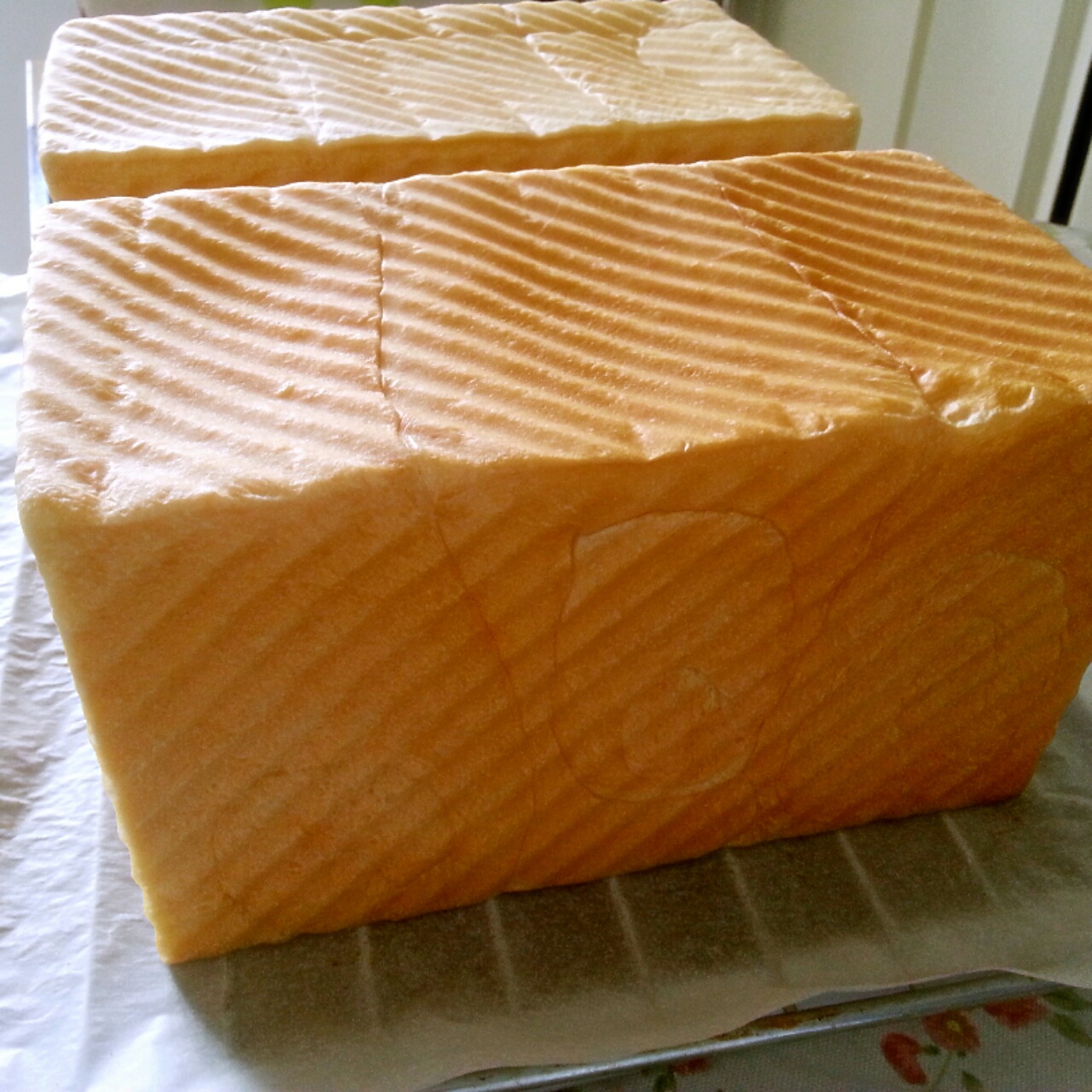 夺命软吐司(๑´ڡ`๑)超软拉丝极速方便的一次发酵吐司