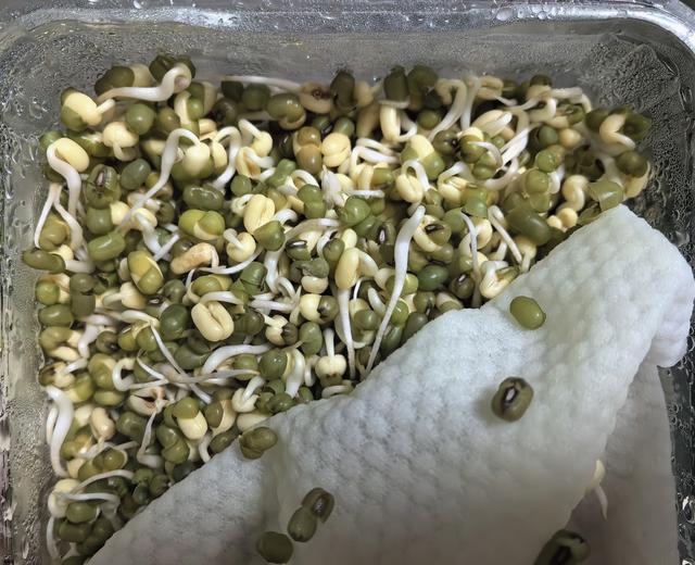 冬天在家生豆芽的做法