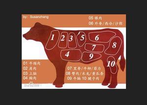 牛肉的部位图解与做法(来自度娘)的做法 步骤3