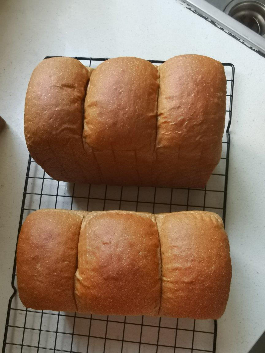 超柔软｜65度汤种｜全麦吐司｜目前为止吃过最好吃的全麦吐司没有之一