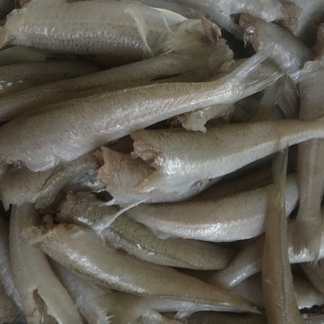 软炸沙丁鱼
