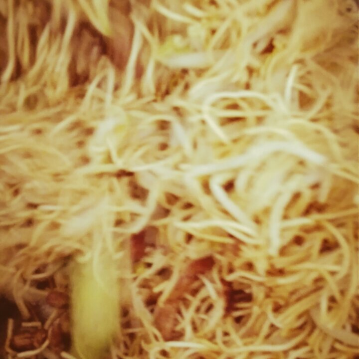 豆芽炒面