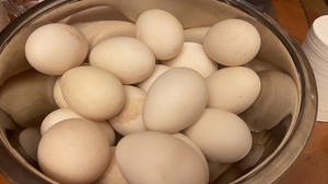 咸鹅蛋  腌制咸鹅蛋的做法 步骤1