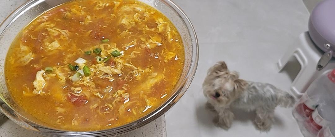 【跟我做不会错】简单又好喝的西红柿鸡蛋汤，家常又营养哦