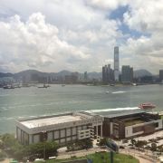 爱啃甘蔗的兔子