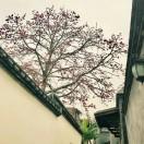 手机用户9208_81kv