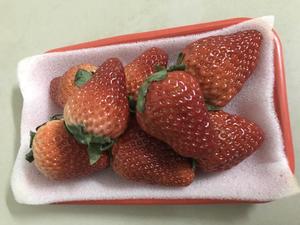 🍓草莓冰糖葫芦🍓的做法 步骤4