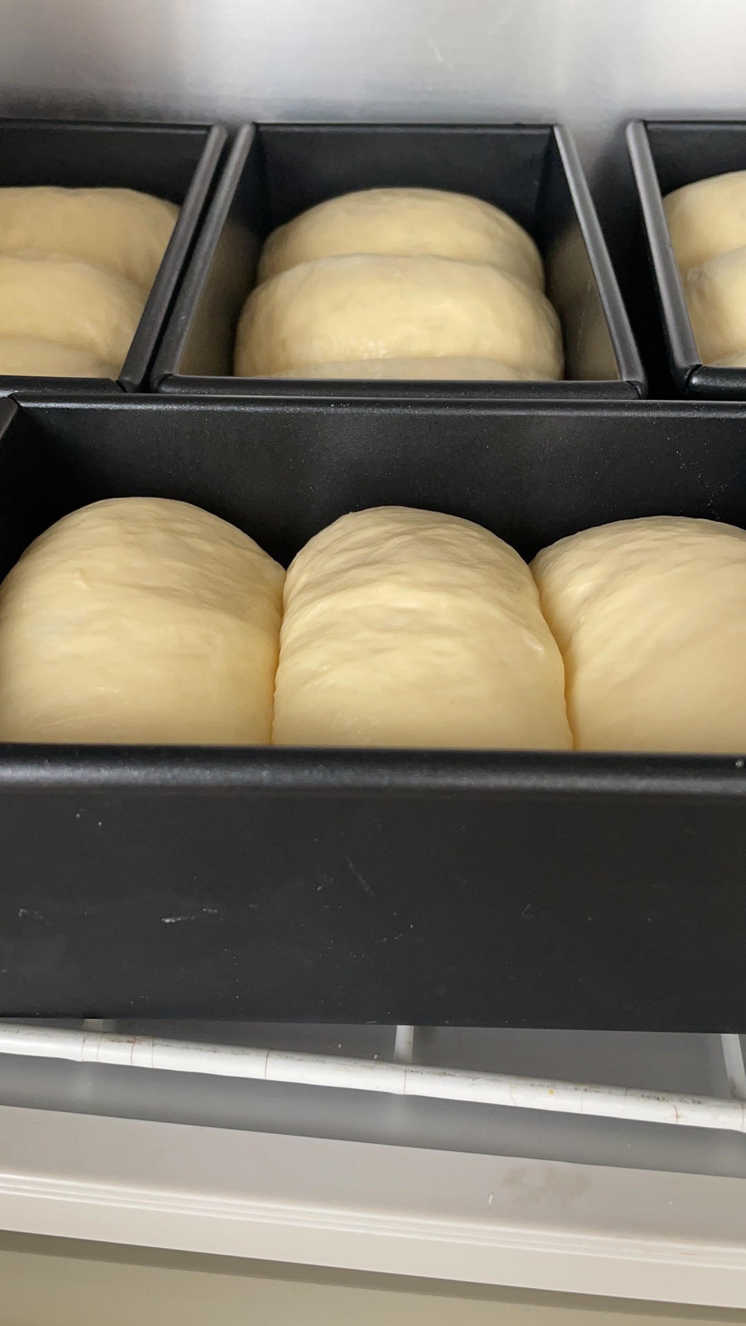 高含水量烫种小吐司，加倍松软