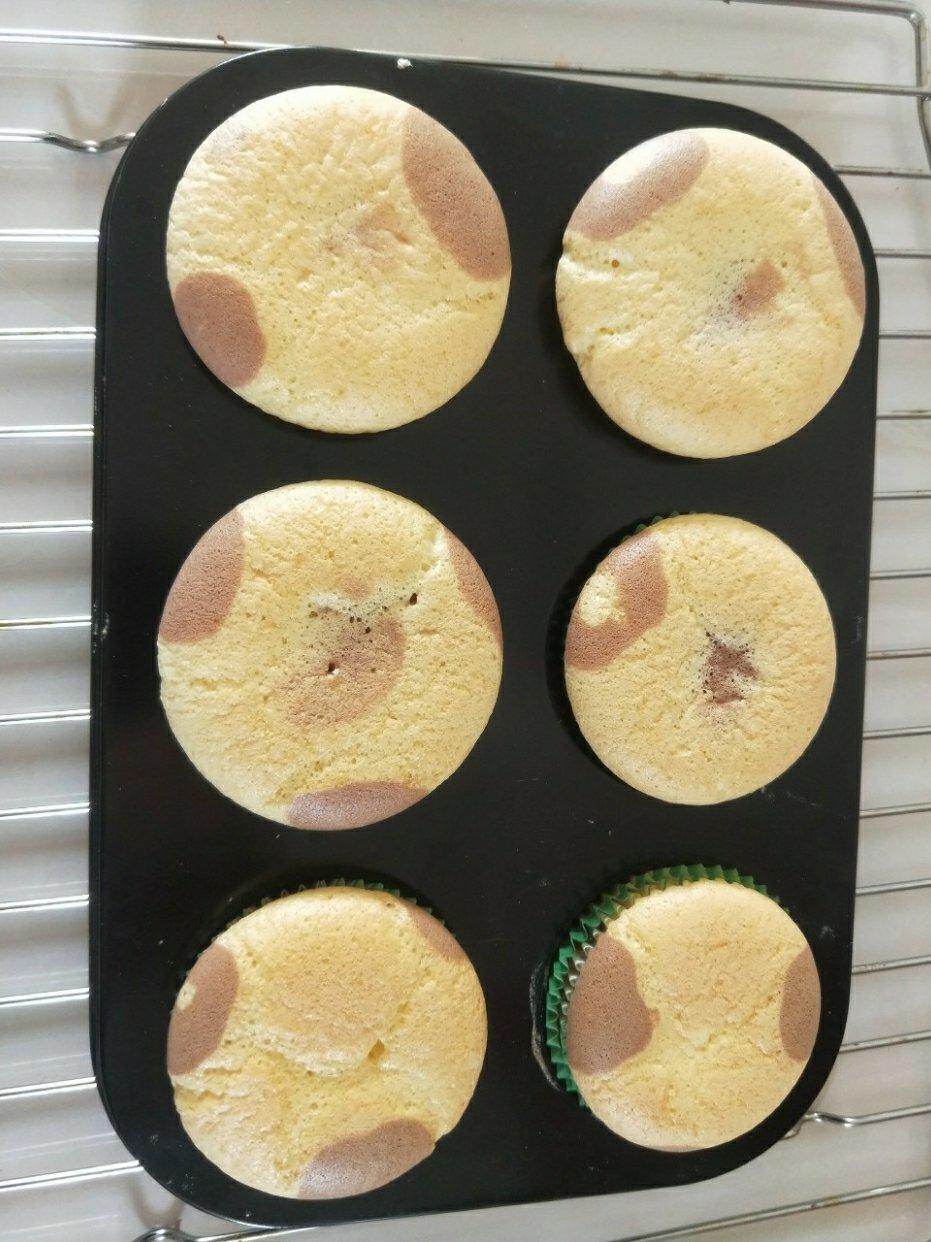 斑纹戚风杯子蛋糕