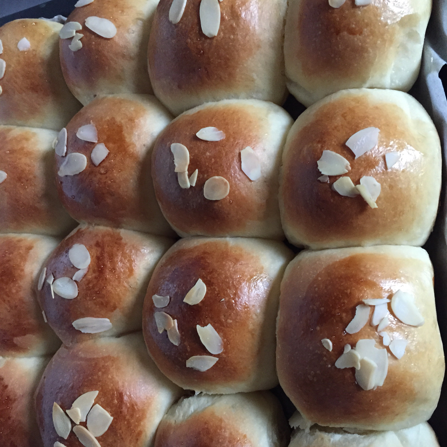 鲜奶油小餐包（一次发酵）