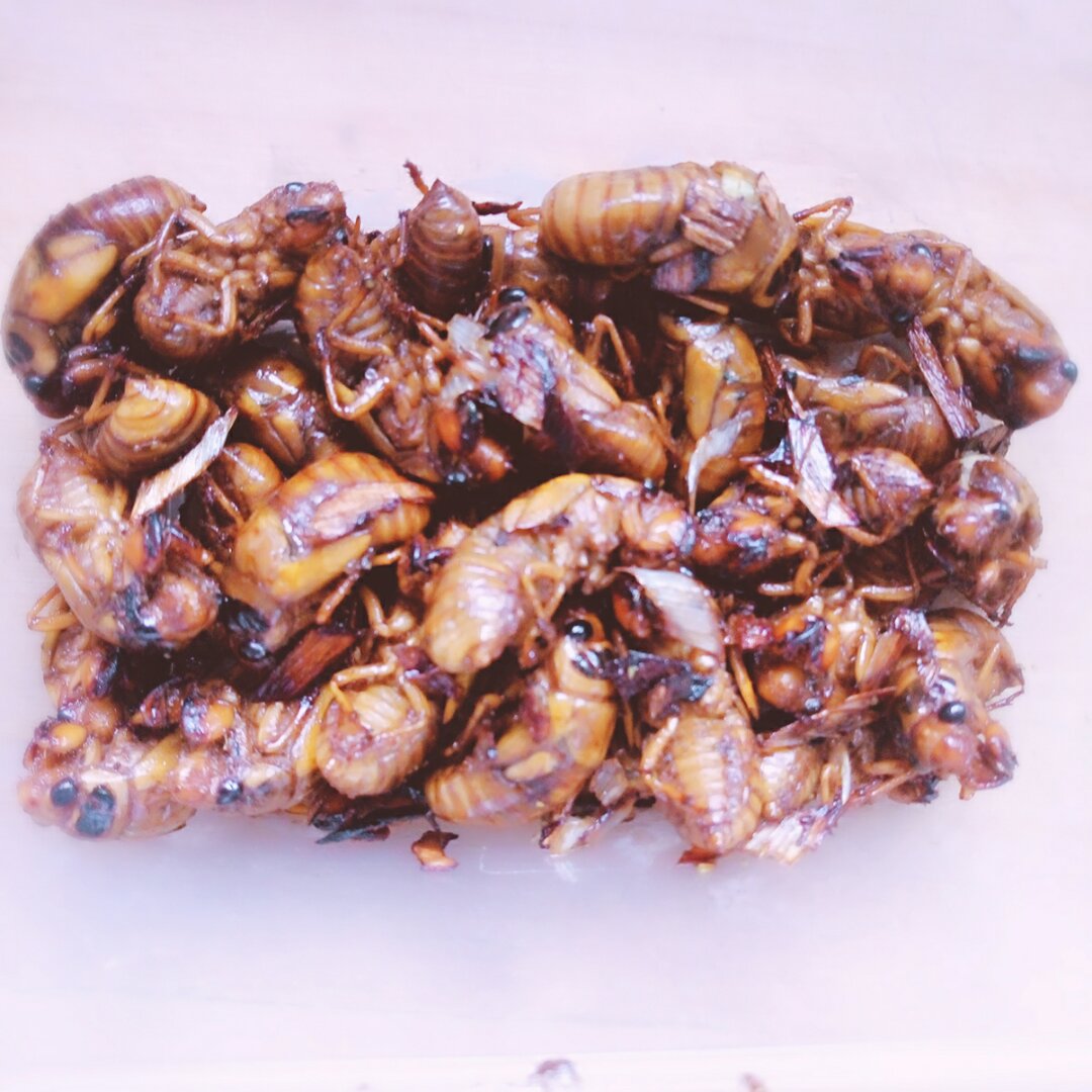 煎金蝉