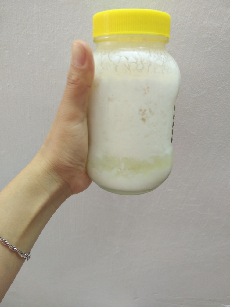 自制希腊酸奶 过滤 西藏灵菇 天山雪莲菌的做法 步骤3