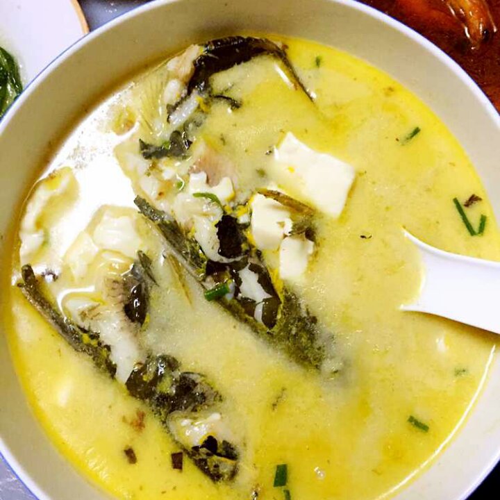 lq18做的昂刺鱼炖豆腐