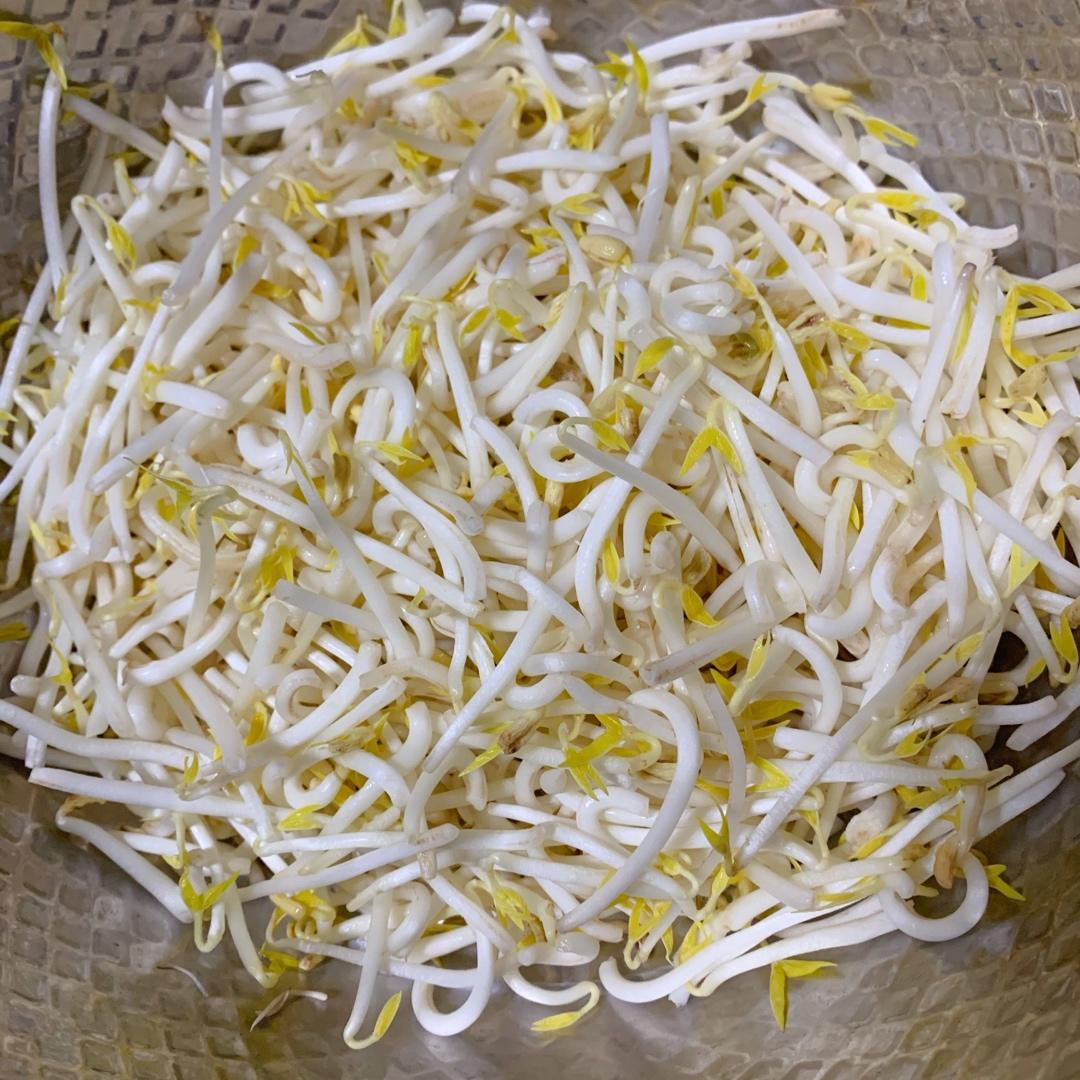 自发豆芽（可乐瓶发豆芽0失败！）