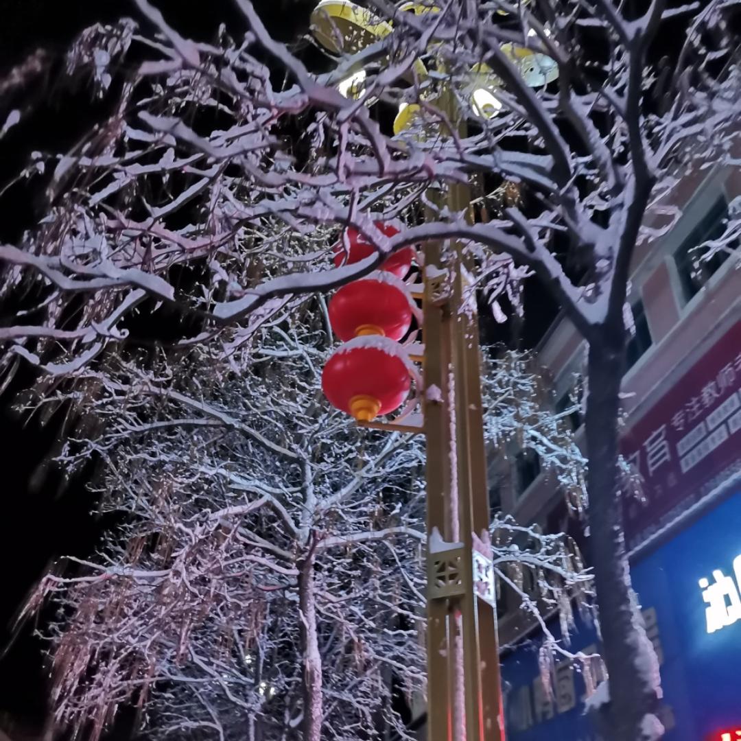 六月花正红