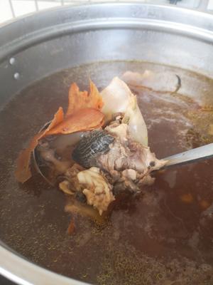 袪湿土茯苓草龟汤的做法 步骤1
