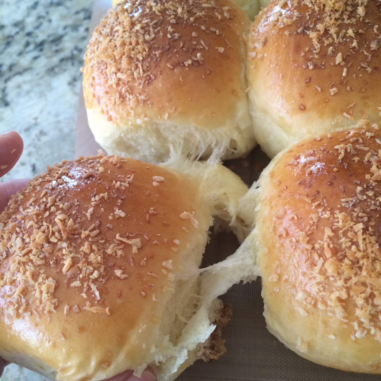 鲜奶油小餐包（一次发酵）